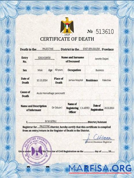 Realistic Palestine vital record death certificate PSD template